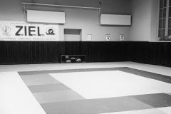 Dojo 4