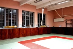 Dojo 1
