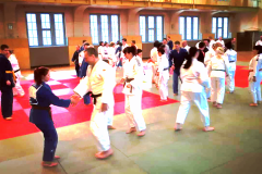 Aiki- und Judo